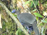 DSCN9418_edited.jpg
