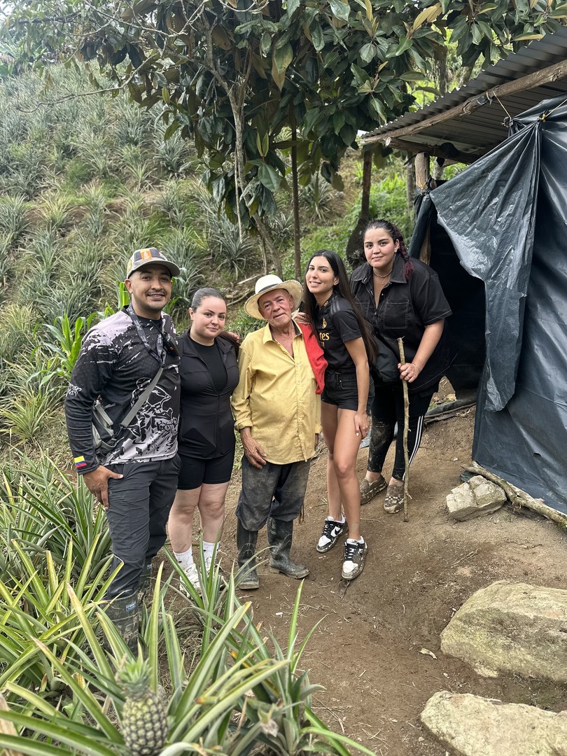 Tour cultivos de piña