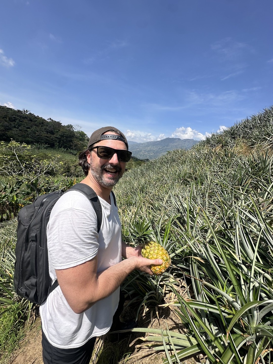 Visitante sostiene una piña junto a un cultivo en ladera, con montañas al fondo