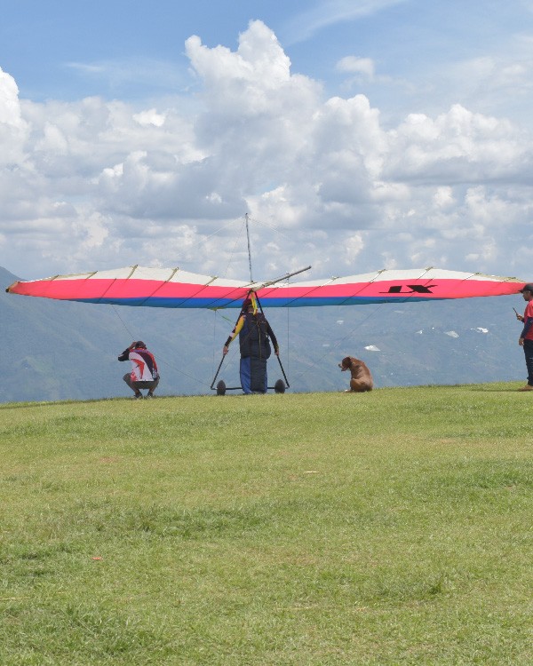 Ala Delta con Día de Sol 