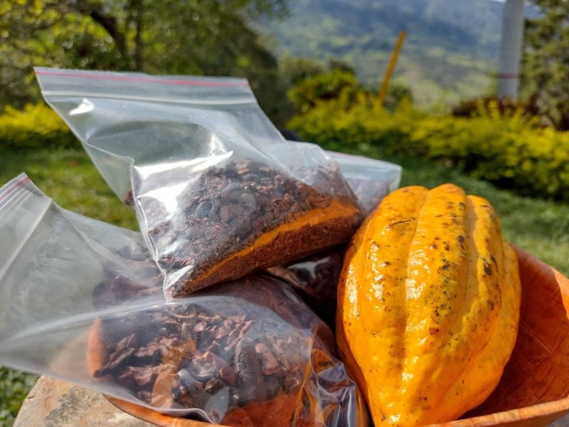 Cacao Primaveral