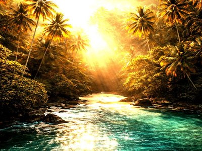 Paraíso tropical al atardecer_edited.jpg