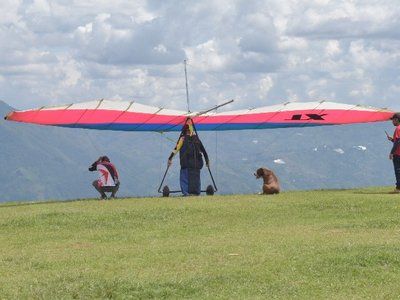 Ala Delta con Día de Sol 