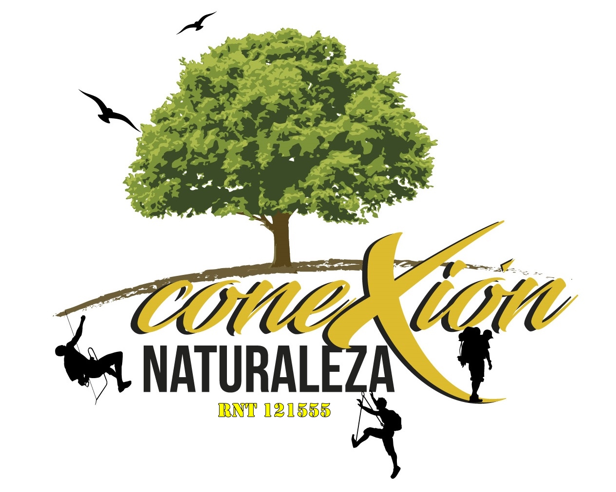 CONEXIÒN NATURALEZA